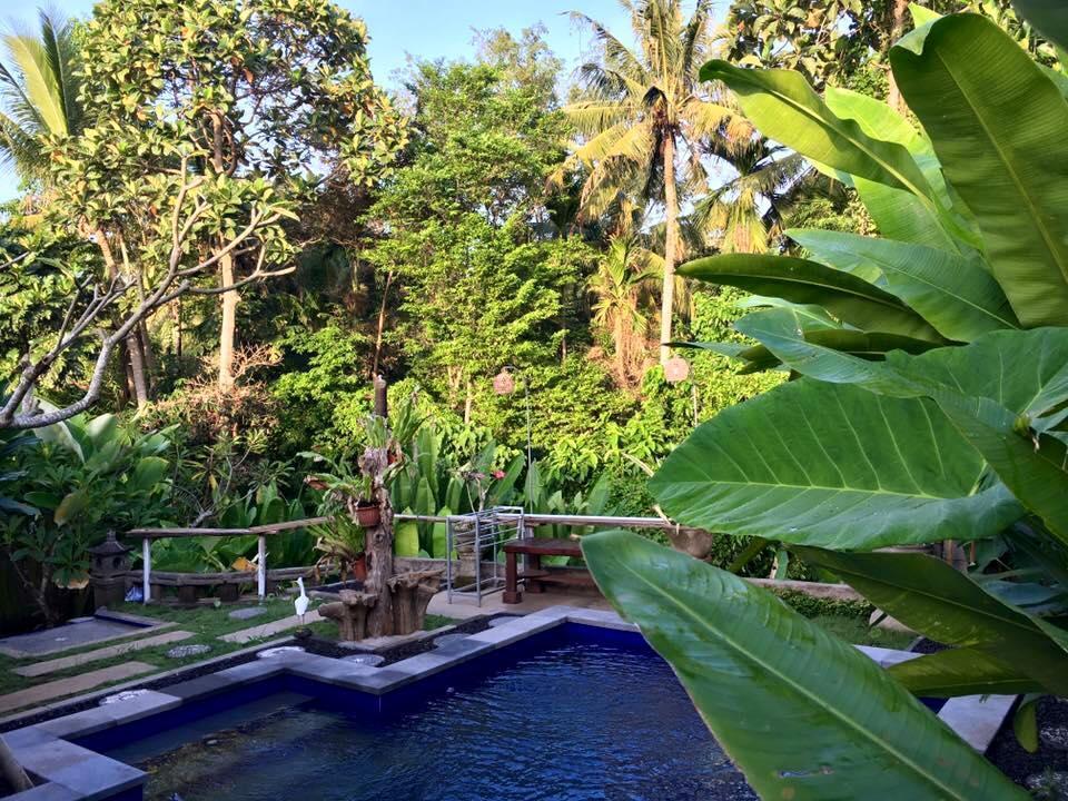 Kerta Family Bed And Breakfast Ubud Dış mekan fotoğraf