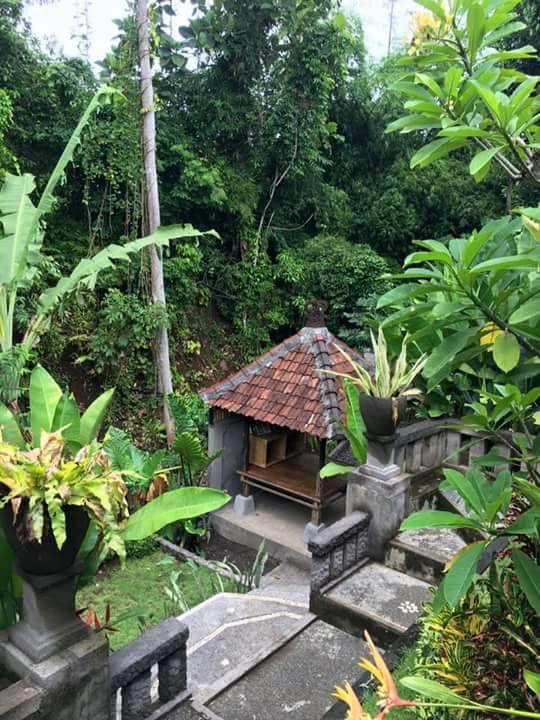Kerta Family Bed And Breakfast Ubud Dış mekan fotoğraf
