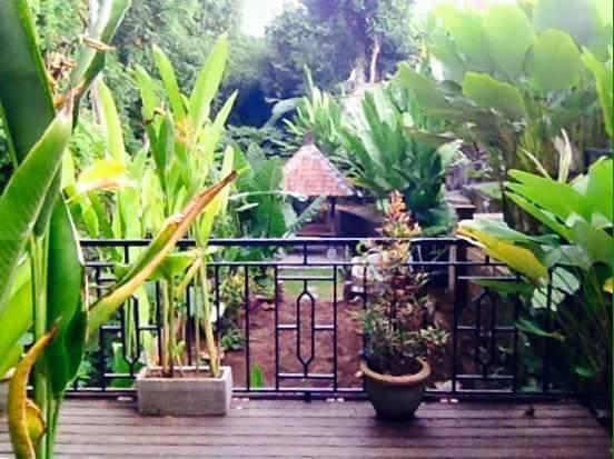 Kerta Family Bed And Breakfast Ubud Dış mekan fotoğraf